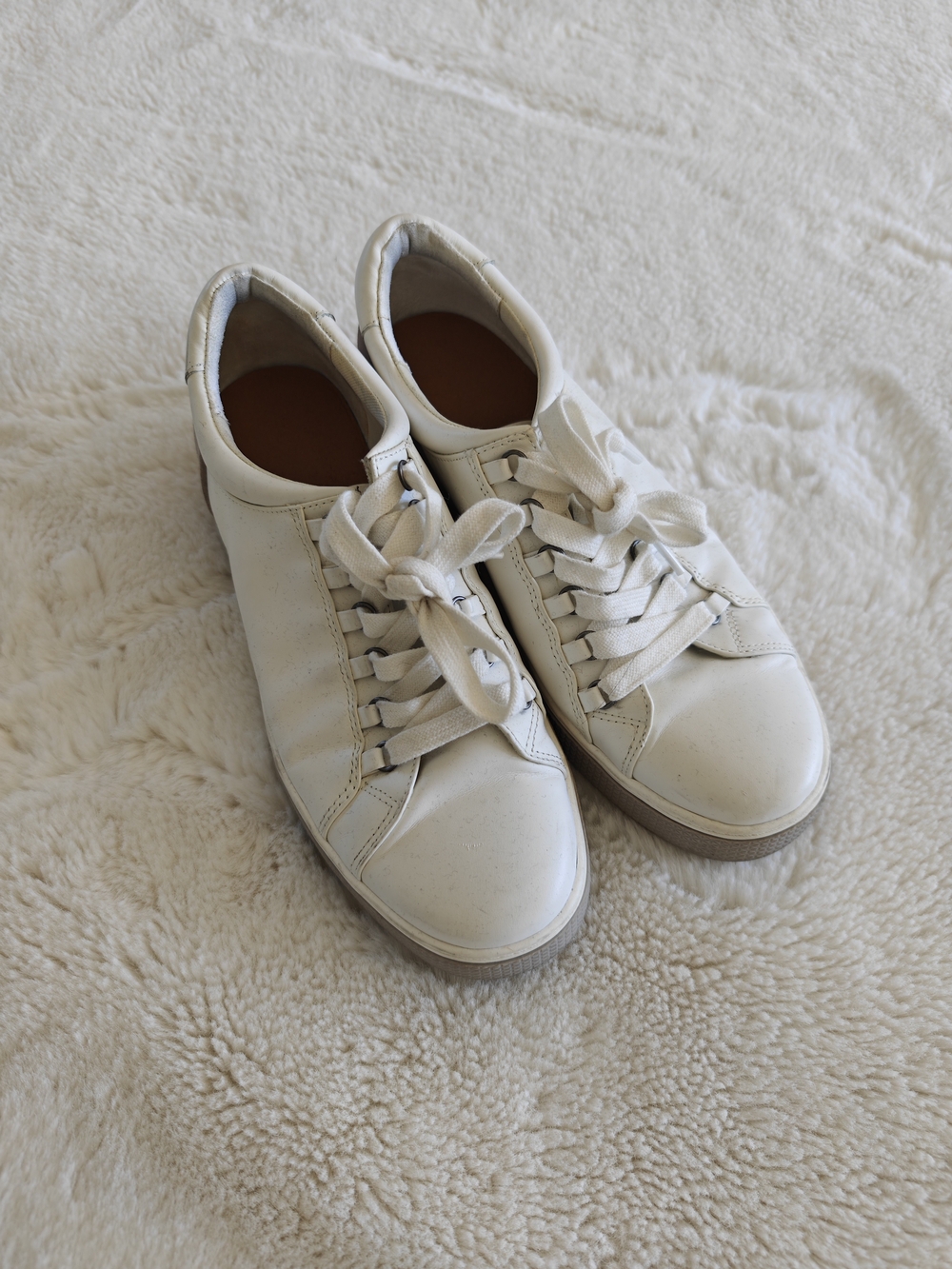 Calson Andres Sneakers
